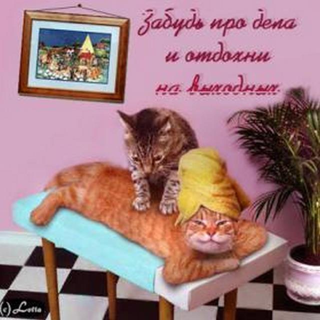 4743317_i8518 (640x640, 48Kb)