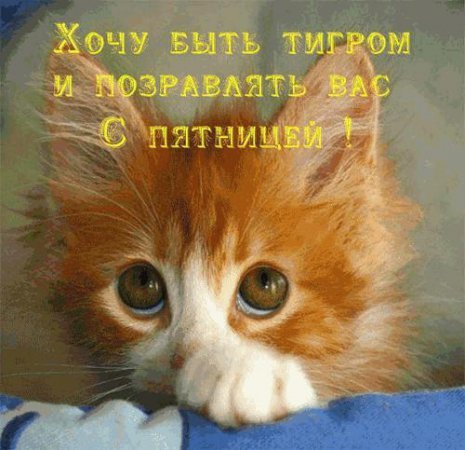 4743317_i23508 (465x450, 45Kb)