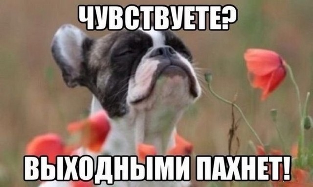 4743317_i23435 (640x383, 48Kb)