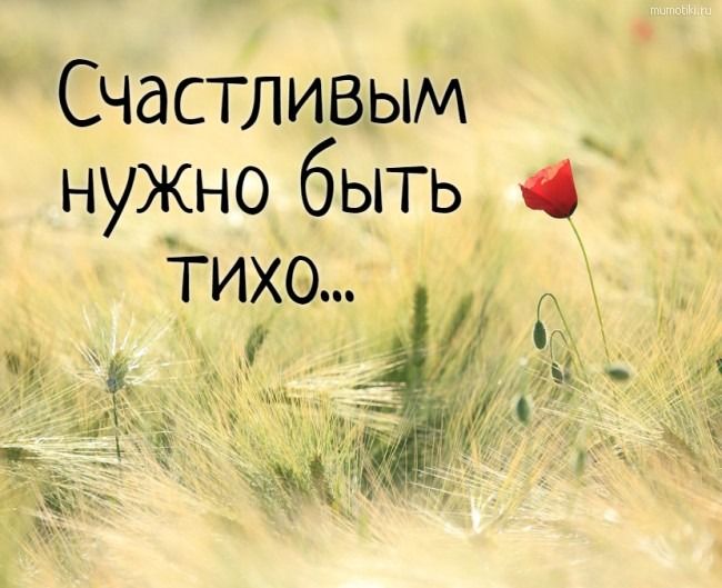 f4fcfefd09241229e8217e150904f2cd (650x529, 54Kb)