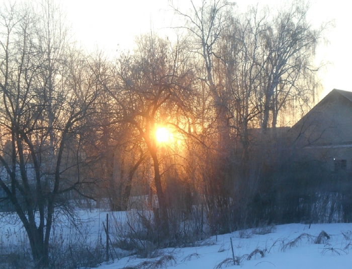 4533467_DSCN73521 (700x534, 307Kb)