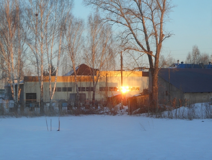 4533467_DSCN73541 (700x528, 271Kb)