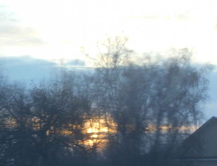 4533467_DSCN73561 (700x537, 183Kb)