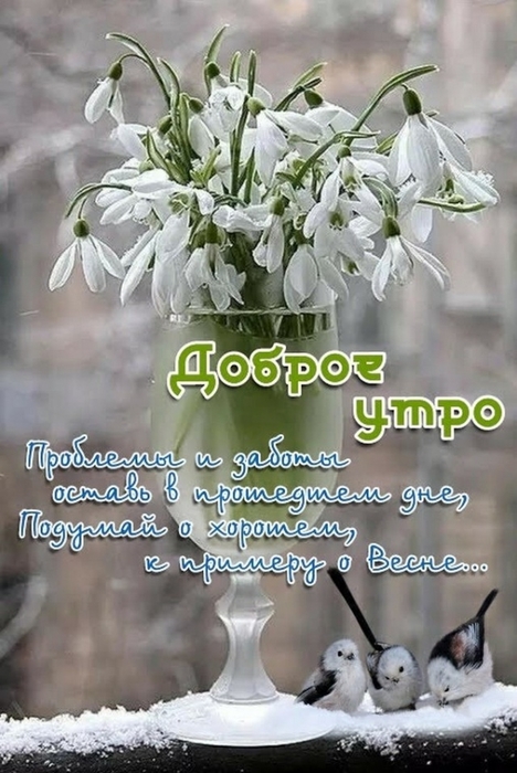 4743317_image20190303 (468x700, 233Kb)
