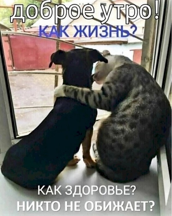 4743317_88813ea3 (555x700, 94Kb)