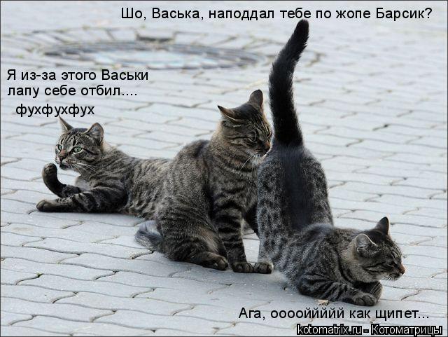 4743317__z (640x481, 62Kb)
