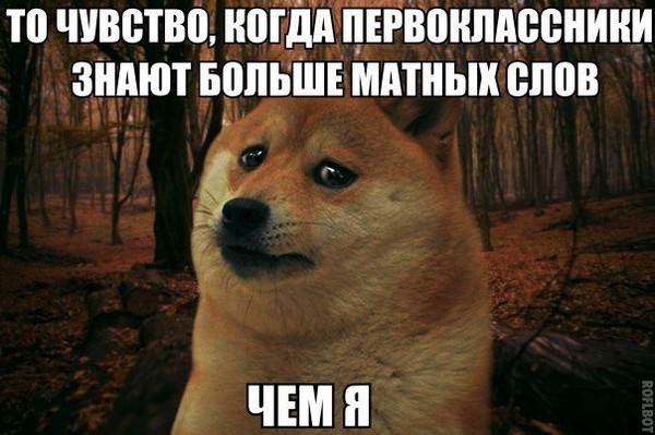 4743317_i23644 (600x399, 69Kb)