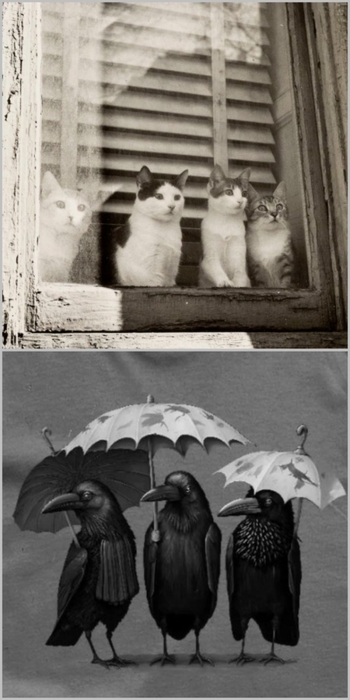 4384049_Collage_Fotor (350x700, 148Kb)