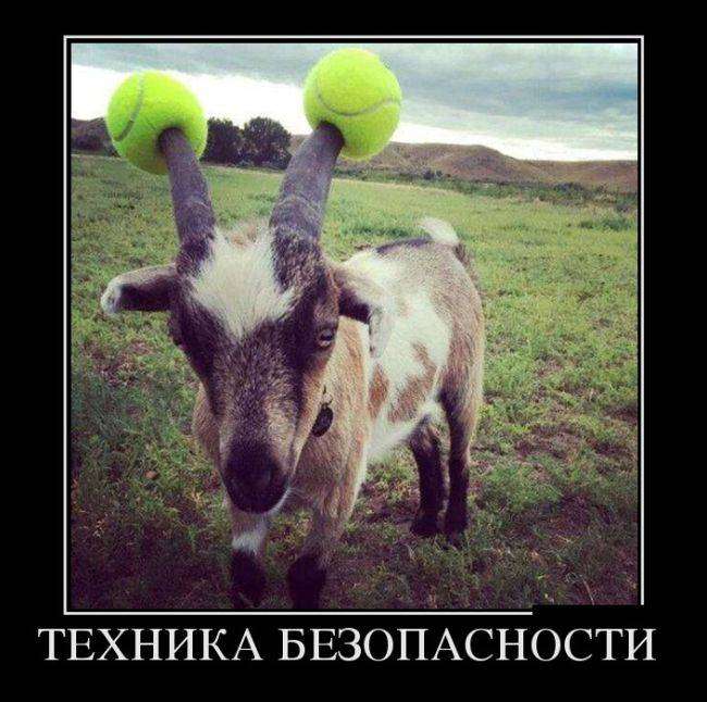 4743317_1442265181_03 (650x646, 56Kb)