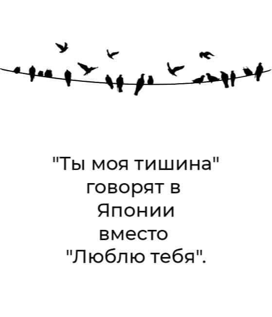 be5b140cdc24ff4667d82c67e1010c5b (559x651, 14Kb)