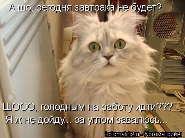 4743317_iT (640x480, 48Kb)