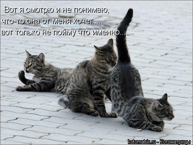 4743317_0D (640x481, 62Kb)