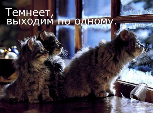 4743317_i23640 (640x474, 102Kb)