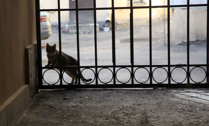 IMG_6198 (700x421, 320Kb)