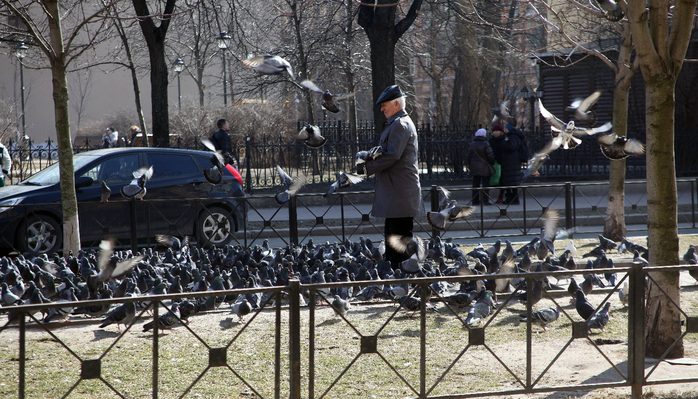 IMG_6213 (700x399, 452Kb)