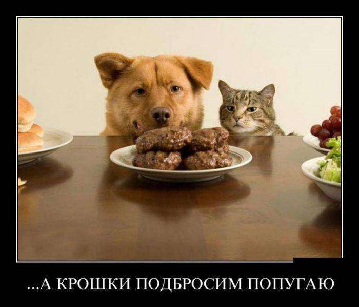 4743317_1442382303_29 (700x598, 36Kb)