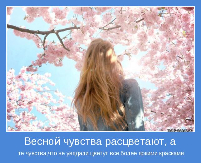 4743317_motivator46910 (644x522, 58Kb)