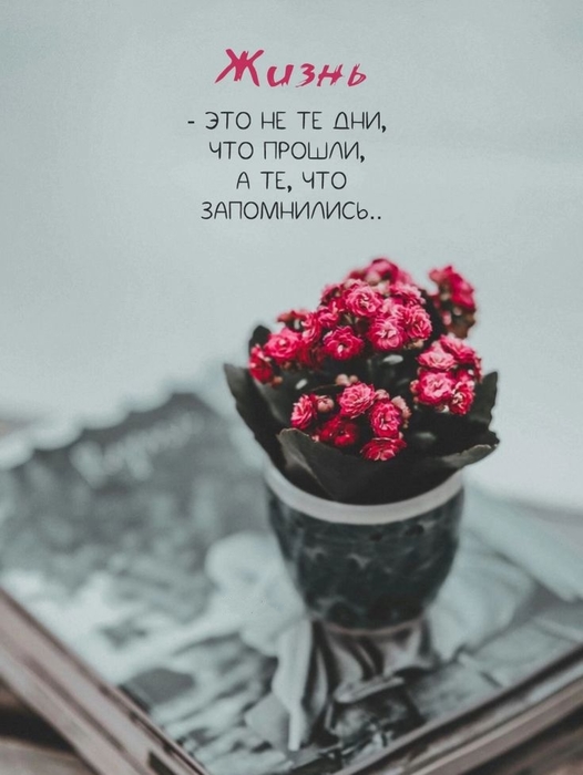 a918a3196192e59f631842db069f4208 (526x700, 172Kb)