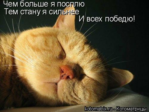 4743317_d (500x375, 34Kb)