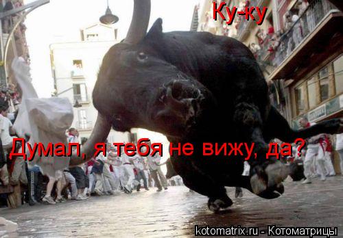 4743317_5k (500x348, 37Kb)