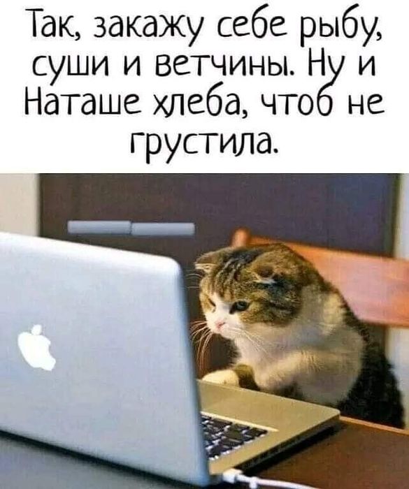 4743317_8bd6ac64bc9d26522a9605bbf532e308 (585x700, 55Kb)