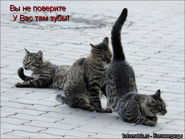 4743317_lv (640x481, 57Kb)