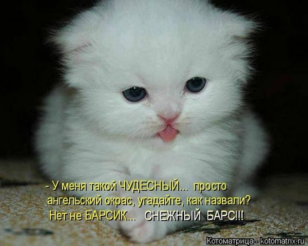 4743317_i23790 (600x480, 61Kb)