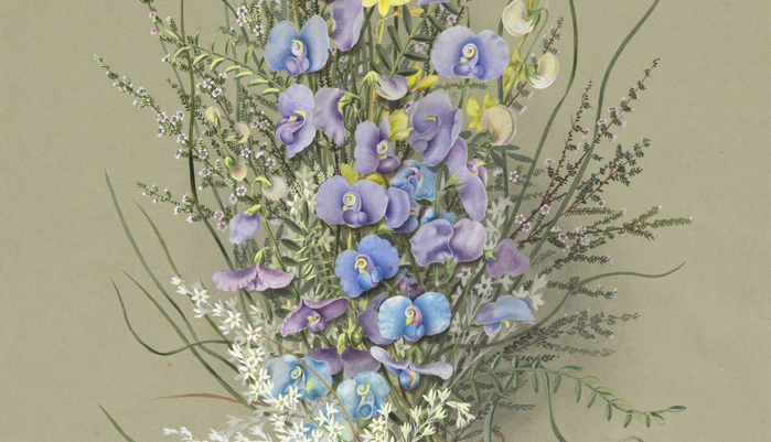 collection-picture-bunch-flowers-ellis-rowan-nla-obj-138764316 (700x401, 288Kb)