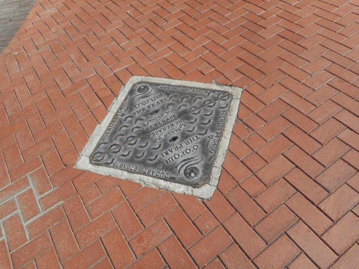 4878453_DSCN0385 (700x525, 331Kb)