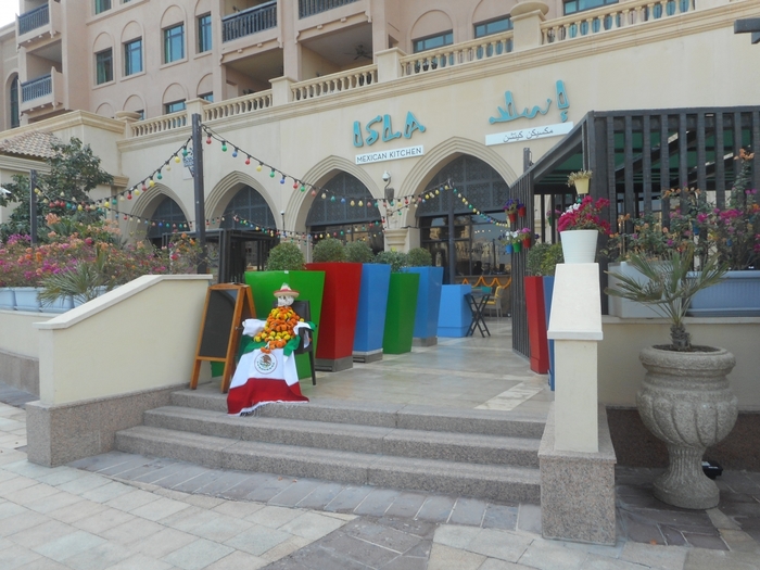 4878453_DSCN0393 (700x525, 285Kb)