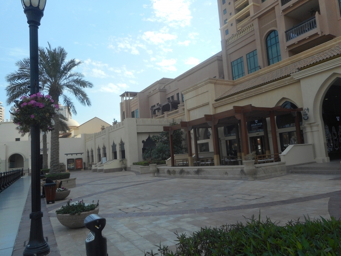 4878453_DSCN0398 (700x525, 260Kb)