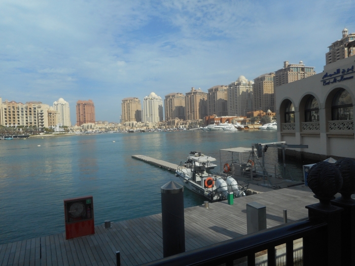 4878453_DSCN0401 (700x525, 236Kb)