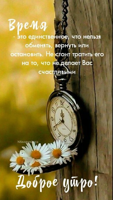 36e936ad9617336b503c66fcbc381efe (393x700, 53Kb)