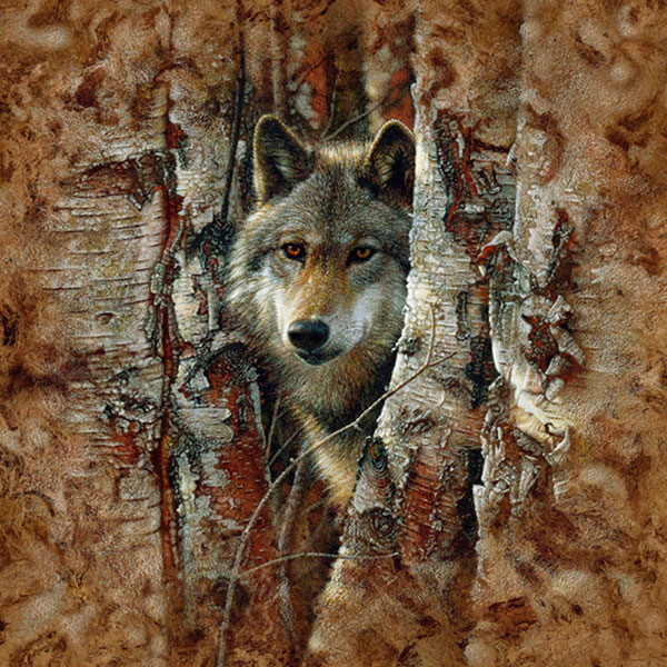 Collin_Bogle_v004 (600x600, 310Kb)