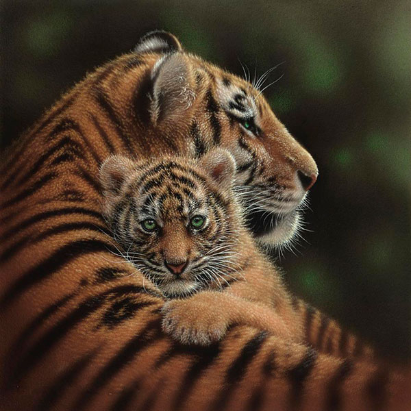 Collin_Bogle_v4 (600x600, 211Kb)