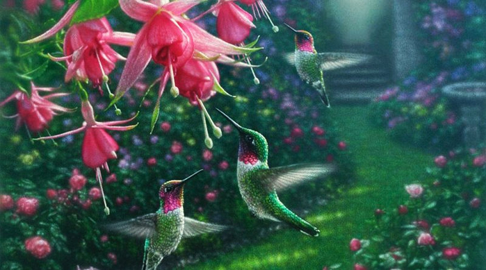 Collin_Bogle-0-800x445 (700x389, 319Kb)