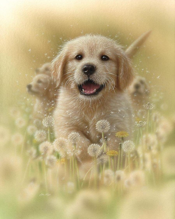 68550118_max (560x700, 340Kb)