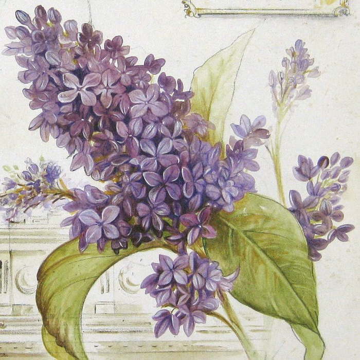 Angela Staehling - Tutt_Art@ (4) (700x700, 569Kb)