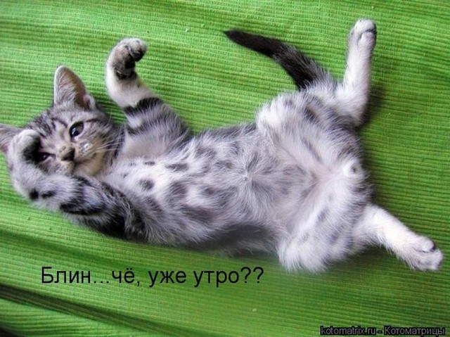 4743317_i24376 (640x479, 99Kb)