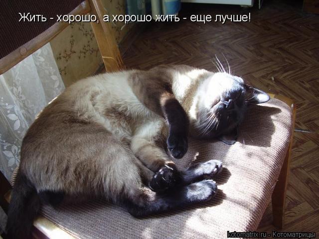 4743317_m (640x480, 52Kb)