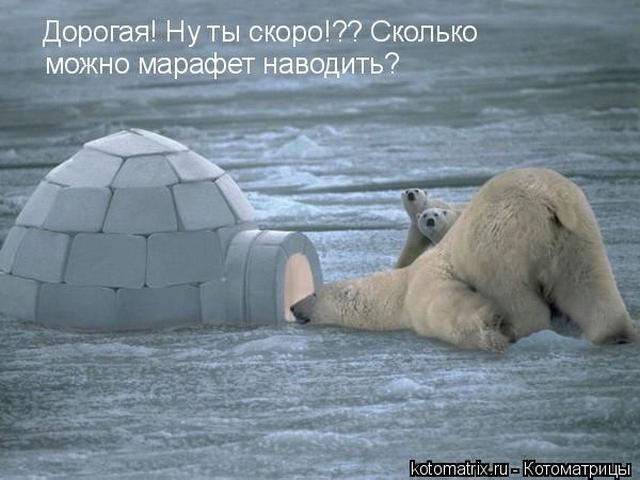 4743317_i24380 (640x480, 43Kb)