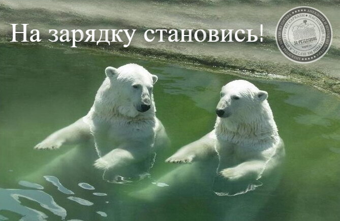 NaZaryadkuStanovis-15.04.2025+ (669x435, 69Kb)