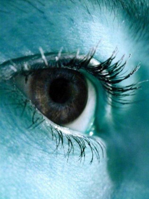 4743317_1142679174_17 (525x700, 53Kb)