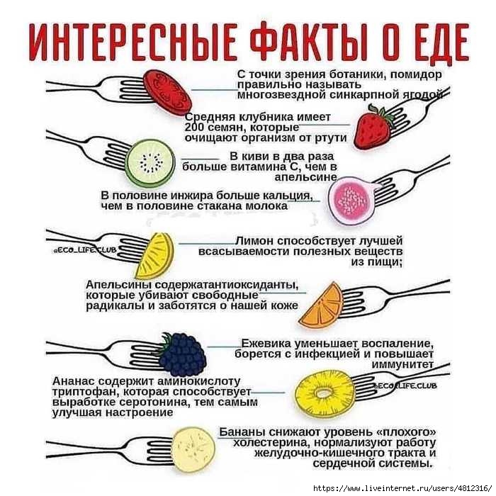 IMG-20250421-WA0008 (700x700, 240Kb)