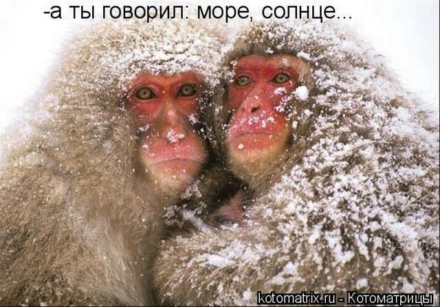 4743317_i24372 (640x447, 66Kb)