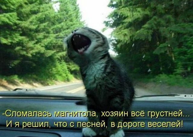 4743317_i17514 (640x455, 53Kb)