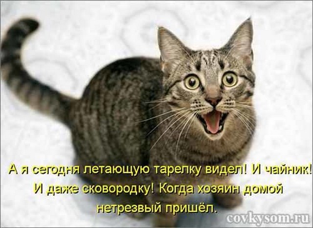 4743317_i24373 (640x467, 66Kb)
