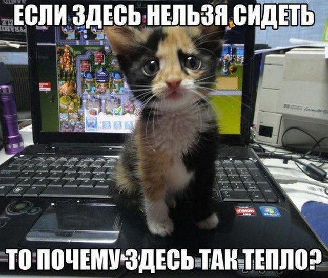 4743317_i17515 (640x543, 104Kb)