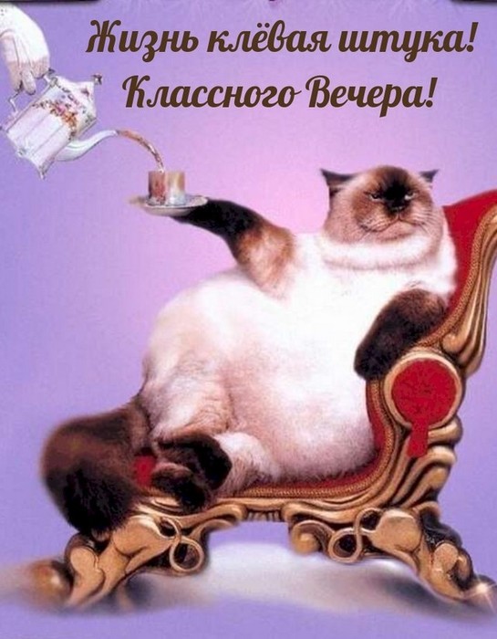 4743317_a88f7e36 (545x700, 83Kb)