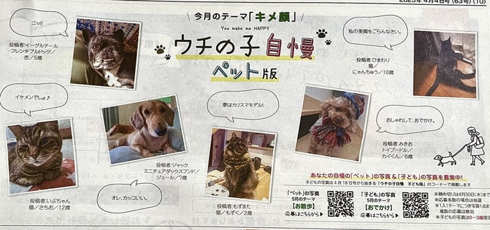 ０ーIMG_1048 (700x329, 141Kb)